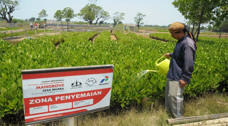 csr-pertamina