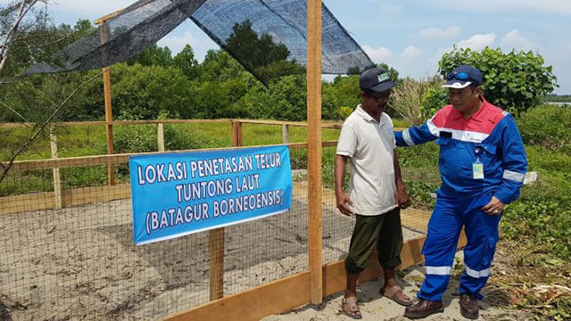 pertamina ep konsisten tingkatkan kualitas lingkungan hidup