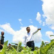 KEM Pertamina Ubah Lahan Tidur Jadi Produktif