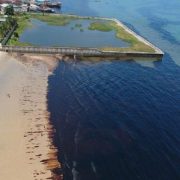 Kementrian ESDM Akan Ungkap Penyebab Tumpahan Minyak di Teluk Balikpapan