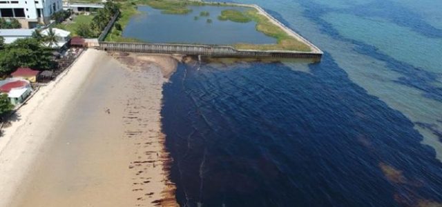 Kementrian ESDM Akan Ungkap Penyebab Tumpahan Minyak di Teluk Balikpapan