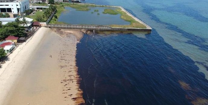 Kementrian ESDM Akan Ungkap Penyebab Tumpahan Minyak di Teluk Balikpapan