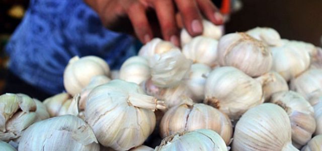 Pengusaha Bawang Putih Minta Kemudahan Impor