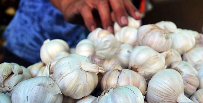Pengusaha Bawang Putih Minta Kemudahan Impor