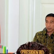 Jokowi Kantongi Sejumlah Nama Pengganti Elia Massa Manik
