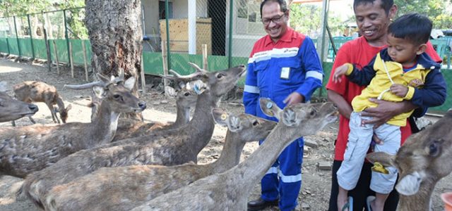 Menyelamatkan Rusa Jawa dari Kepunahan