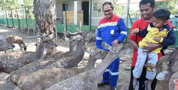 Menyelamatkan Rusa Jawa dari Kepunahan