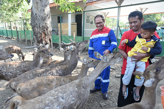 Menyelamatkan Rusa Jawa dua 18