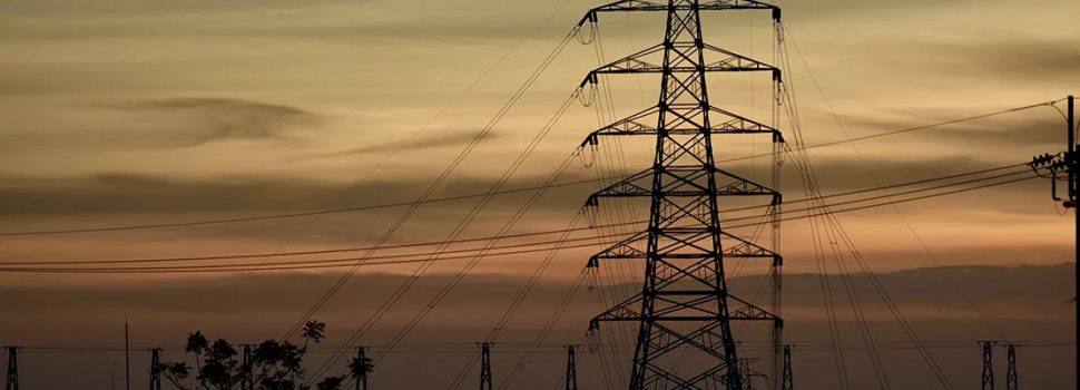 PLN Ujicoba Minyak Sawit di PLTD Kecil