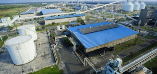 Alasan Inalum Pilih Bank Asing untuk Hindari Fluktuasi Rupiah