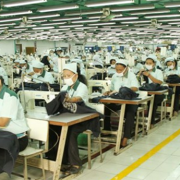 Pan Brother Targetkan 2034 Jadi Raksasa Tekstil Dunia
