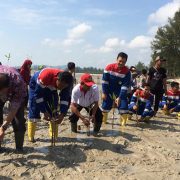 Taman Edukasi Mangrove Pertamina untuk Pesisir Pangkal Pinang