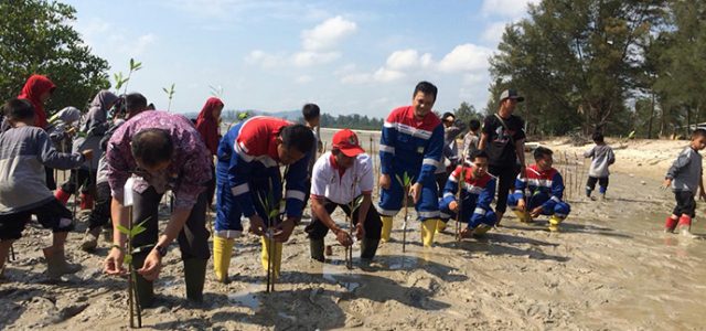 Taman Edukasi Mangrove Pertamina untuk Pesisir Pangkal Pinang