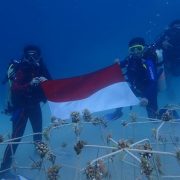 Pertamina Gandeng TNKT Upayakan Togean Jadi Cagar Biosfer
