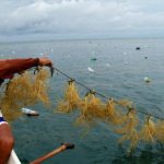 kementerian kelautan- skk migas kerja sama kelola sumber daya laut