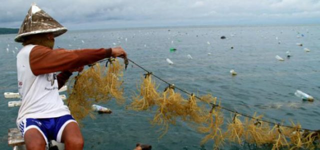 Kementerian Kelautan- SKK Migas Kerja Sama Kelola Sumber Daya Laut