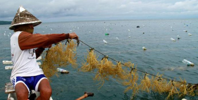 Kementerian Kelautan- SKK Migas Kerja Sama Kelola Sumber Daya Laut
