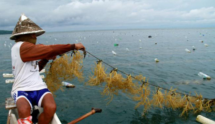 kementerian kelautan- skk migas kerja sama kelola sumber daya laut