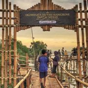 PEP dan Pemprov Jabar Resmikan Ekowisata Mangrove di Pantai Mekar
