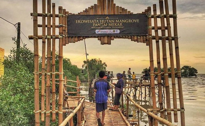pep dan pemprov jabar resmikan ekowisata mangrove di pantai mekar
