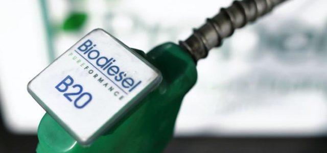 Soal Biodiesel, Indonesia Tak Gentar Lawan Eropa