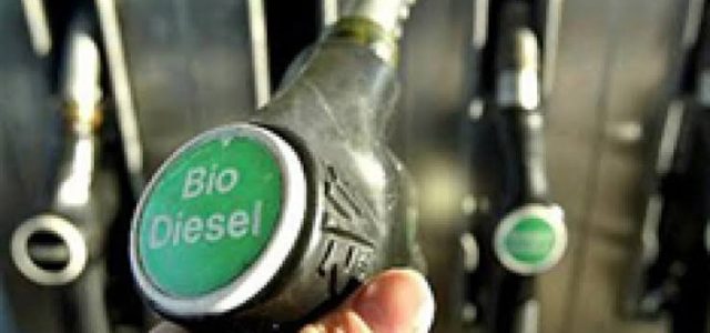 Sebelum Diwajibkan, ESDM Uji Coba Penggunaan B30