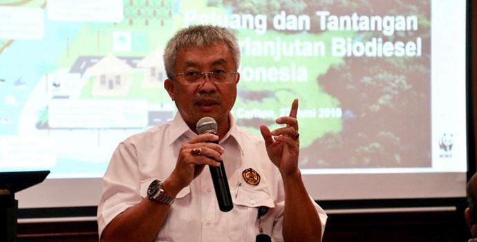 Dirjen, FX Sutijastoto : B-30 Sebagian Solusi dari Capaian Target EBTKE