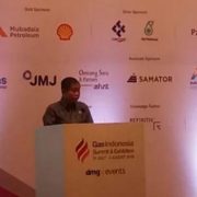 Pemerintah Minta Produsen Meproduksi Gas Lebih Efisien