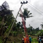 pasca gempa 7,2 sr pln pulihkan kelistrikan di halsel