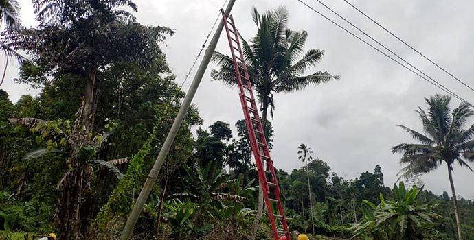Pasca Gempa 7,2 SR PLN Pulihkan Kelistrikan di Halsel