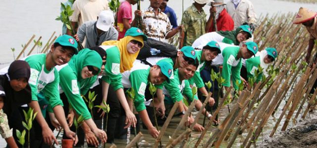 PHE ONWJ Tanam 195.000 Pohon Mangrove di Karawang