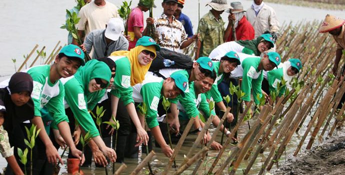 PHE ONWJ Tanam 195.000 Pohon Mangrove di Karawang 