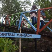 Cegah Abrasi, Pertamina Inisiasi Pelestarian Mangrove Terapan