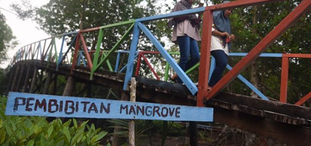 Cegah Abrasi, Pertamina Inisiasi Pelestarian Mangrove Terapan