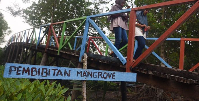 Cegah Abrasi, Pertamina Inisiasi Pelestarian Mangrove Terapan