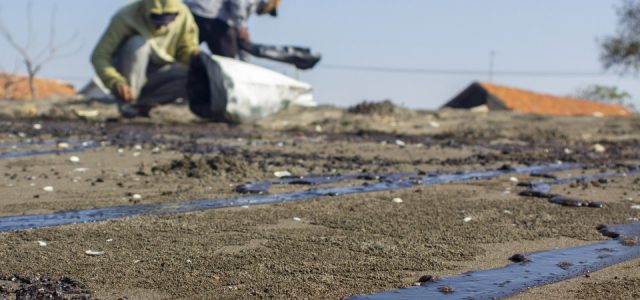 Kurangi Dampak Tumpahan Kinyak, PHE ONWJ Bersihkan Rumah Warga