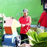Kampung Hijau, Kurangi Sampah Plastik di Kota Surabaya