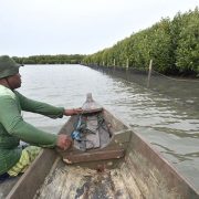 PHE ONWJ Lindungi Kawasan Pesisir dan Kawasan Konservasi Mangrove Melalui Inovasi Waring