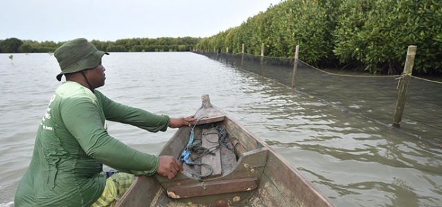 PHE ONWJ Lindungi Kawasan Pesisir dan Kawasan Konservasi Mangrove Melalui Inovasi Waring