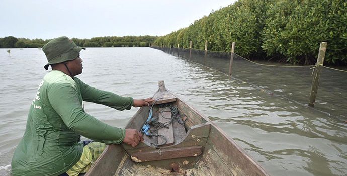 PHE ONWJ Lindungi Kawasan Pesisir dan Kawasan Konservasi Mangrove Melalui Inovasi Waring