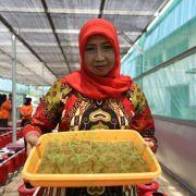 Hidroponik dan Bank Sampah Pertamina, Tingkatkan Kesejahteraan Kaum Ibu di Makassar