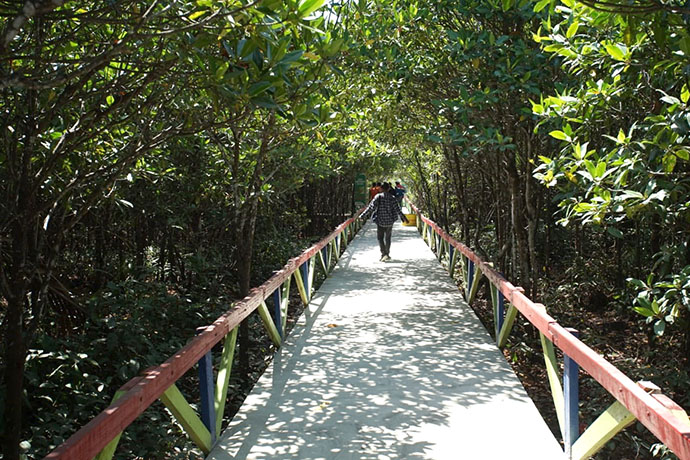 kolak sekancil, wisata mangrove terlengkap di indonesia