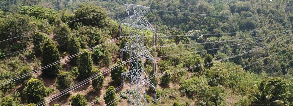 Dukung Tumbuhnya Industri di Sultra, PLN Perkuat Kelistrikan
