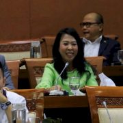 Di Hadapan Komisi VI DPR, PLN Komitmen Kembangkan EBT
