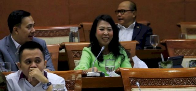 Di Hadapan Komisi VI DPR, PLN Komitmen Kembangkan EBT
