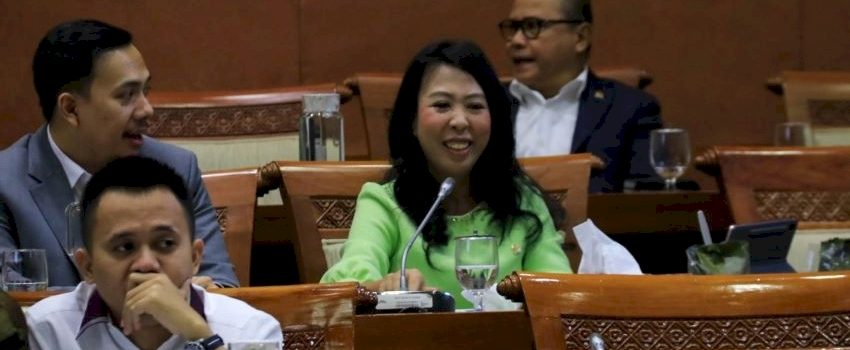Di Hadapan Komisi VI DPR, PLN Komitmen Kembangkan EBT