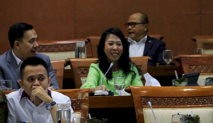 di hadapan komisi vi dpr pln komitmen kembangkan ebt