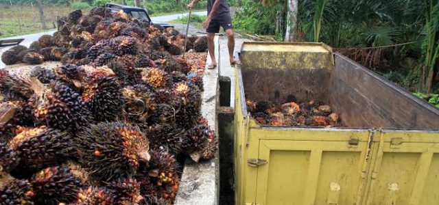 BPDPKS Siap Dukung Program Strategis Pemerintah Dalam Pengembangan EBT