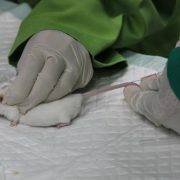 Satu-Satunya Di Indonesia, BATAN Miliki Laboratorium Hewan Uji Radioaktif