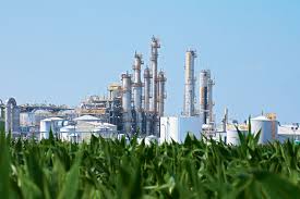 Sinergi 4 Lembaga, Pertamina Dorong Pembangunan Pabrik Contoh Biorefinery